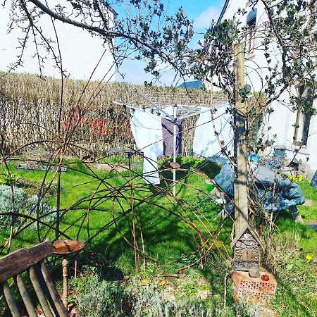 B&B A Quiet Place Tintigny Eksteriør bilde